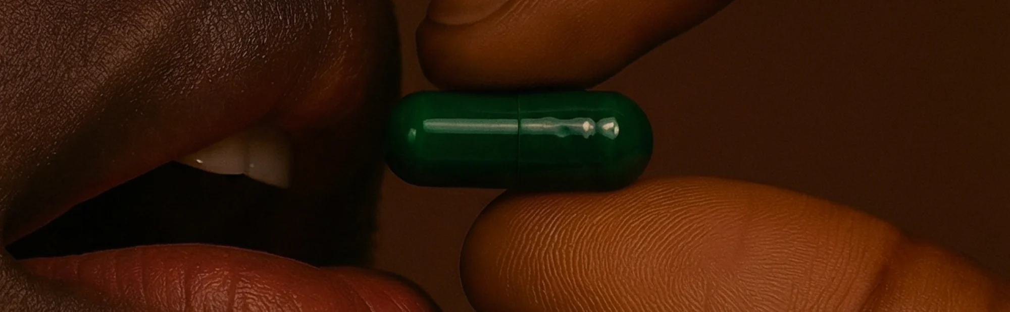 Plant-Powered Science for Daily Vitality